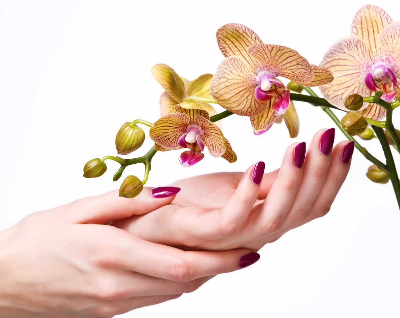 Elegant manicure at Reflections Nail Studio